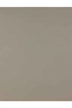 Finale Uitverkoop Creëer een Stralende Ruimte met Dutch Wallcoverings Vliesbehang Uni Wit 7315-0